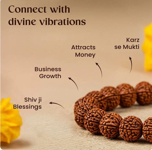 7 Mukhi Rudraksha Bracelet - VAYARA