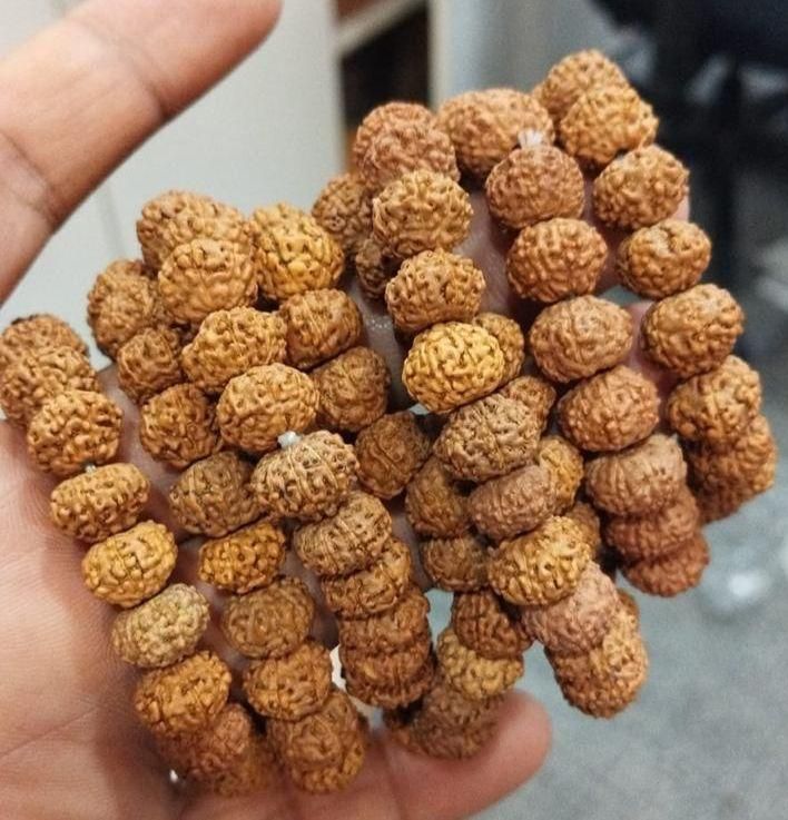 7 Mukhi Rudraksha Bracelet - VAYARA