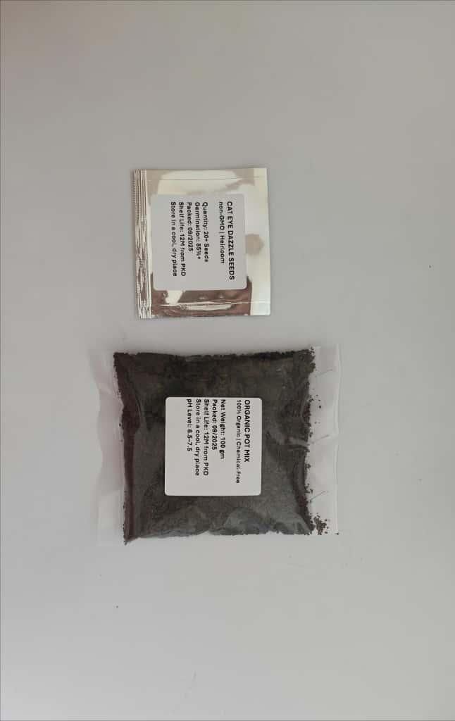 Cat Eye Dazzle Seeds and Free Organic Pot Mix 100 Grams - VAYARA