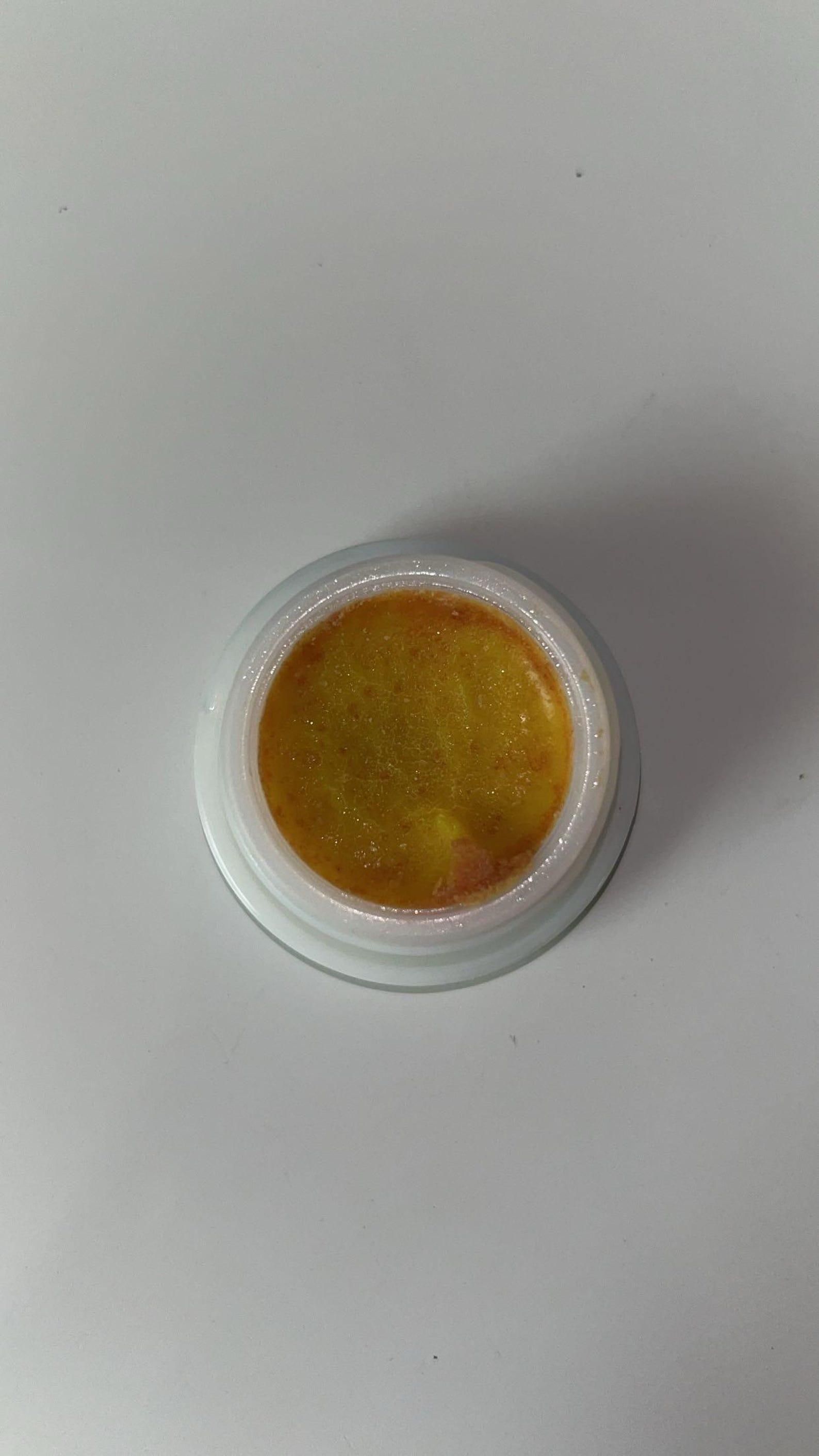 Cockroach Killer Gel (Pack of 2) - VAYARA